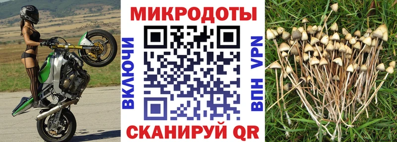 МЕГА рабочий сайт  Копейск  Галлюциногенные грибы Psilocybe 